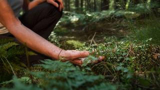 Desportos y Entretenimento