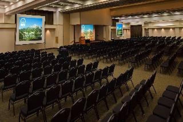 Conferencias