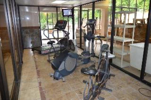 Desportos y Entretenimento