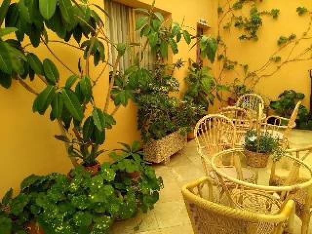 Terraço
