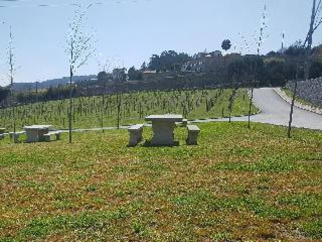 Desportos y Entretenimento