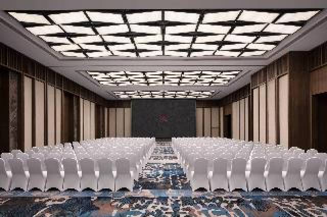 Conferencias