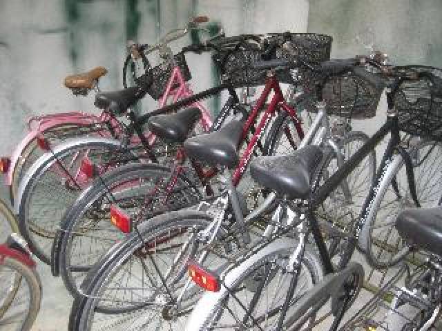 Desportos y Entretenimento