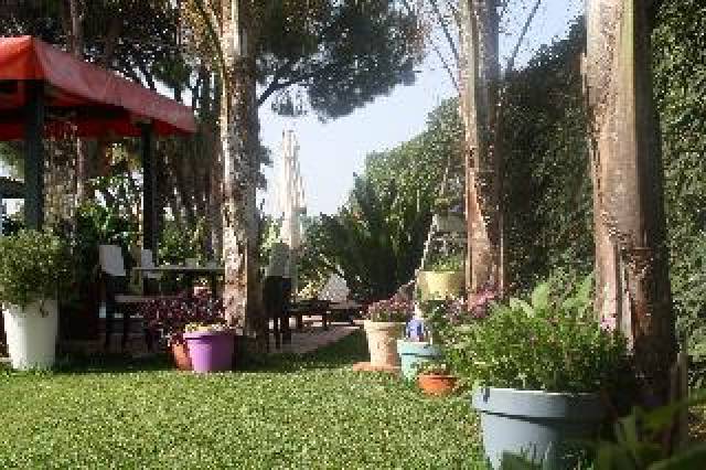 Terraço