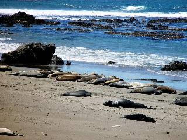 Praia