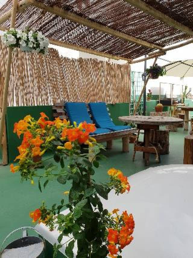 Terraço