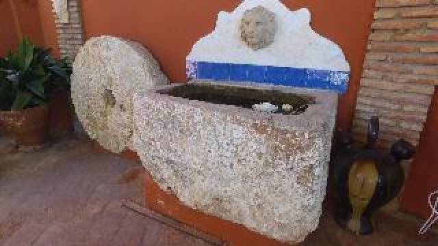 Desportos y Entretenimento