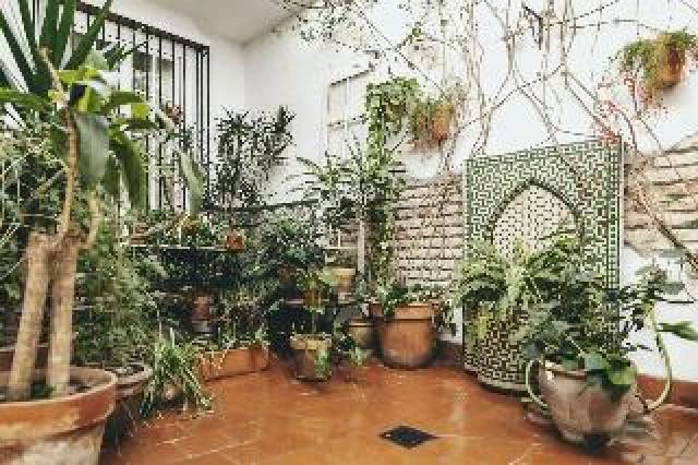 Terraço