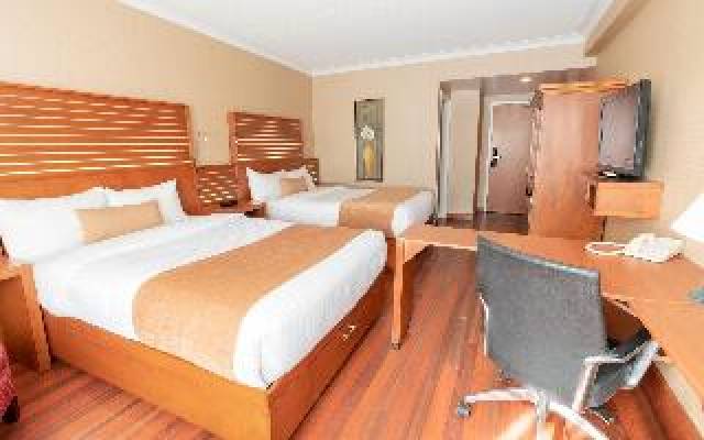 Quarto