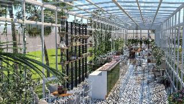 Terraço