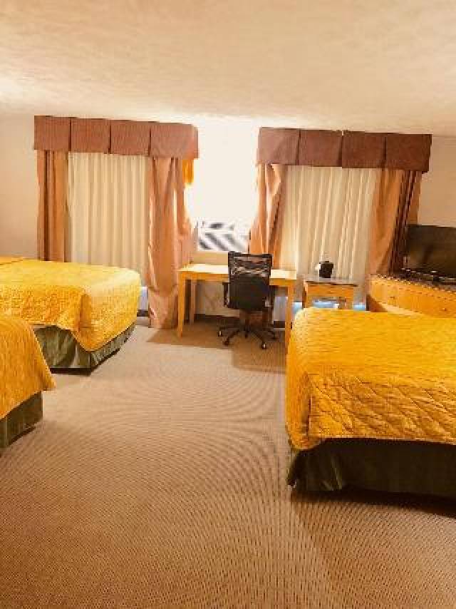 Quarto