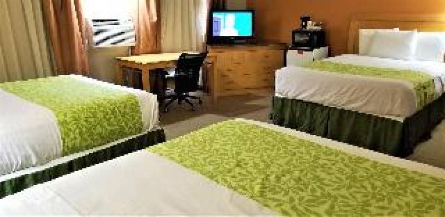 Quarto