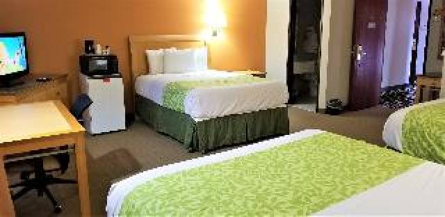 Quarto
