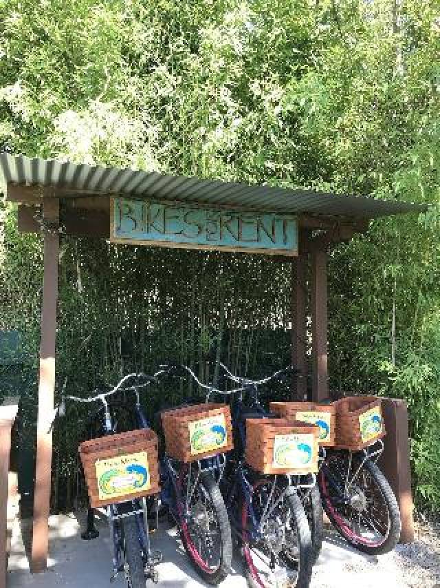 Desportos y Entretenimento