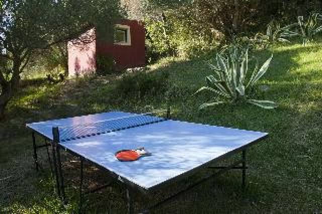 Desportos y Entretenimento