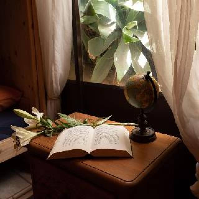 Quarto