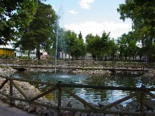 Desportos y Entretenimento