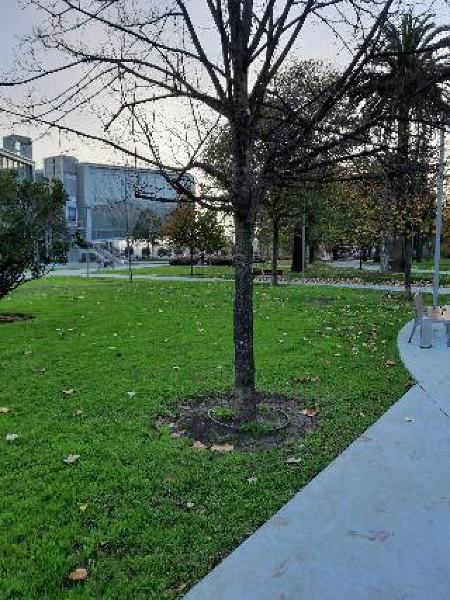 Vista General