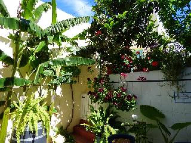 Terraço