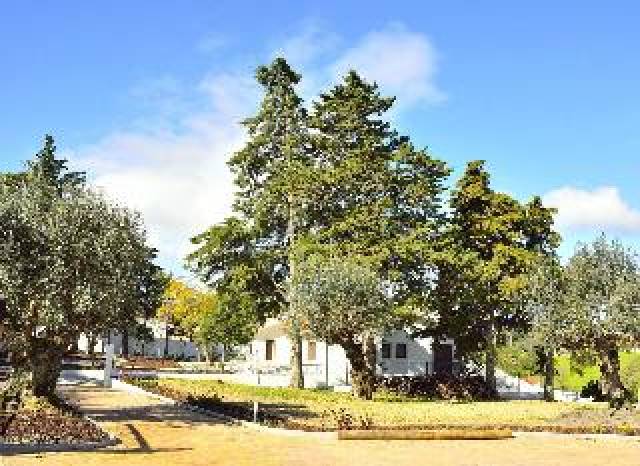 Vista General