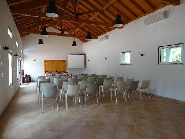 Conferencias