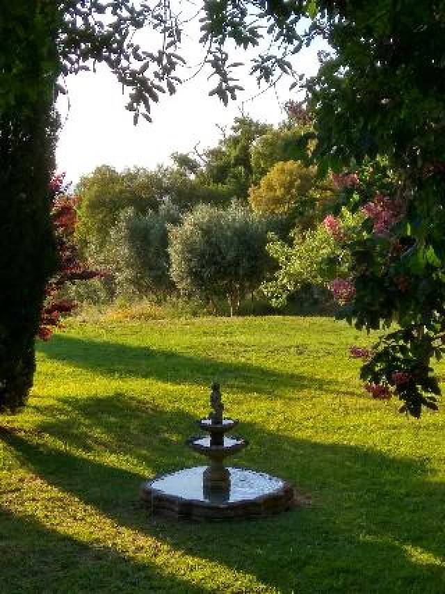 Vista General