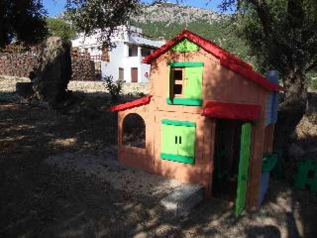 Desportos y Entretenimento