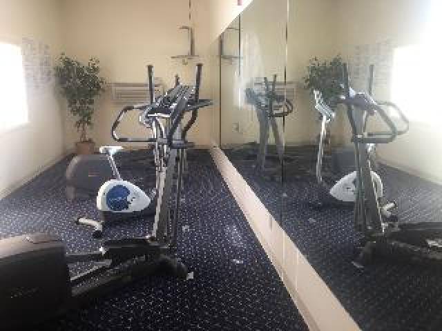 Desportos y Entretenimento