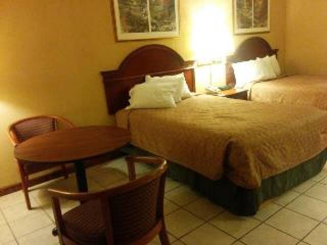 Quarto