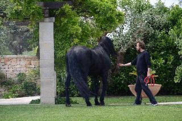 Desportos y Entretenimento
