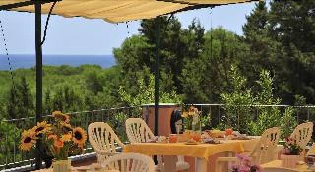 Terraço