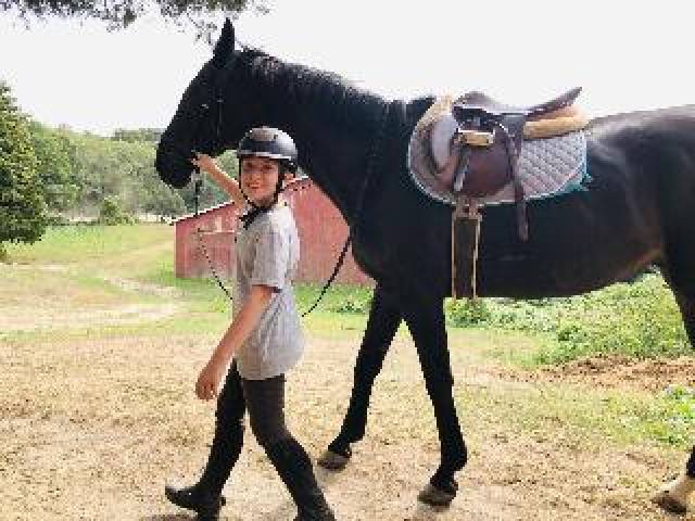 Desportos y Entretenimento