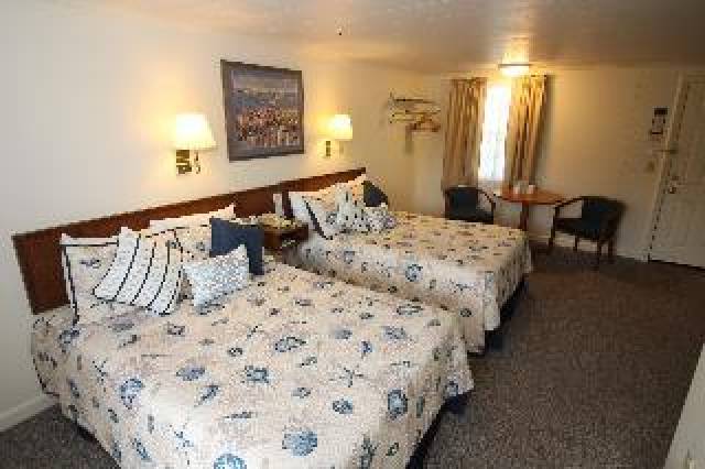 Quarto