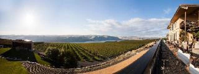 Vista General