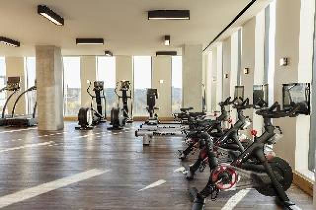 Desportos y Entretenimento