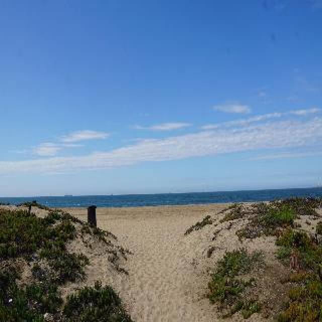 Praia