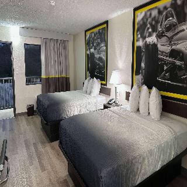 Quarto