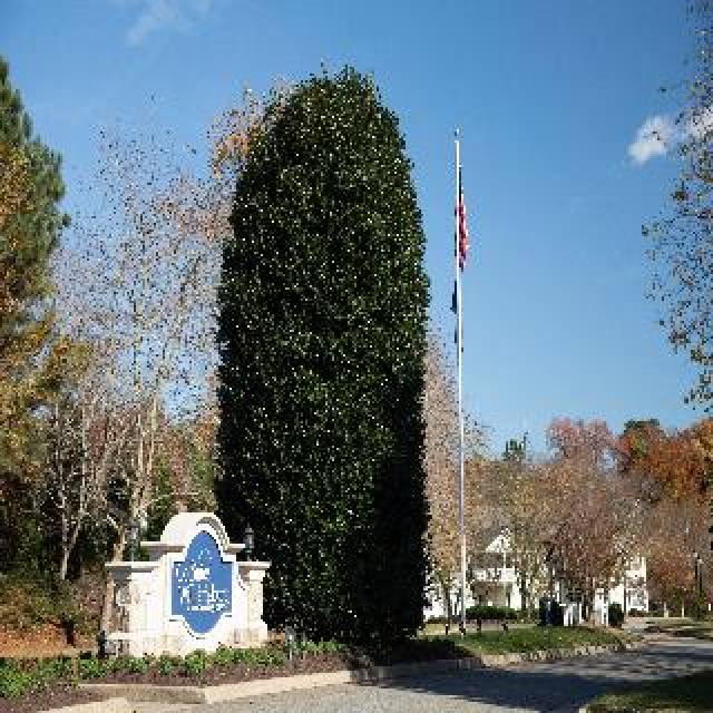 Vista General