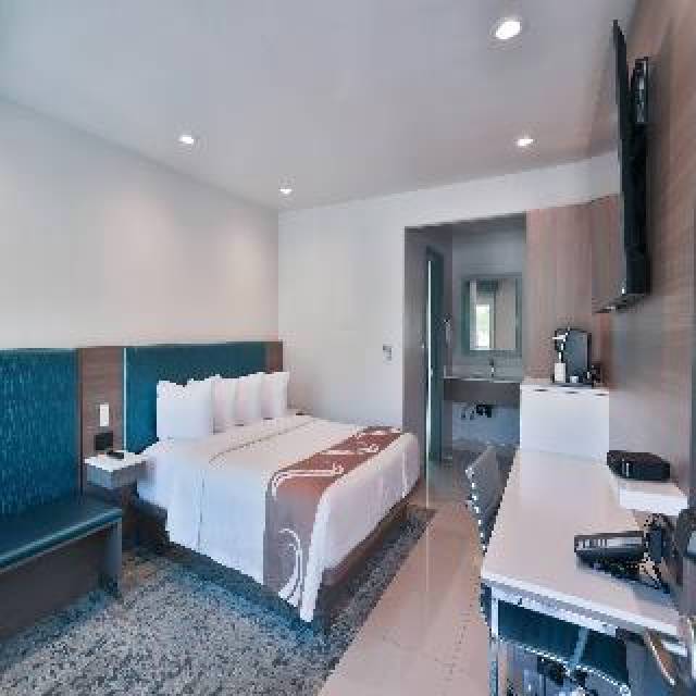 Quarto
