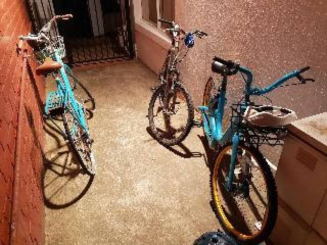 Desportos y Entretenimento