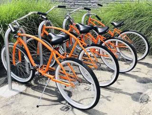 Desportos y Entretenimento
