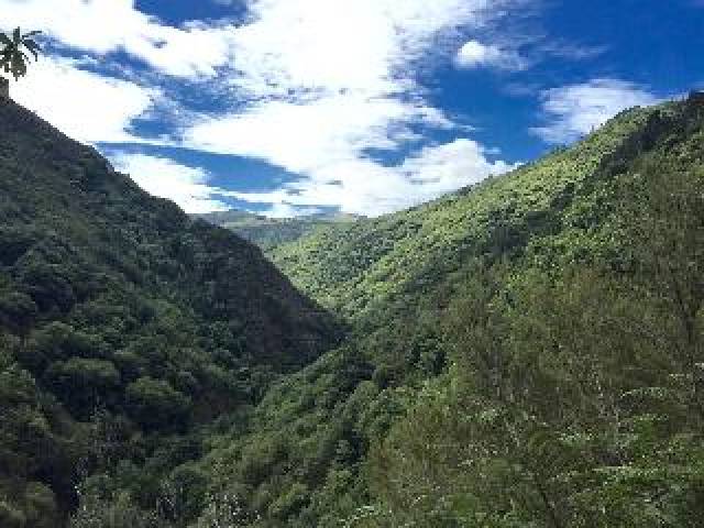 Desportos y Entretenimento