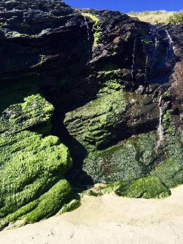 Praia