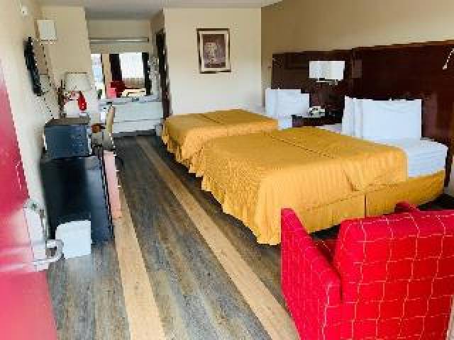 Quarto