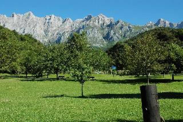 Vista General