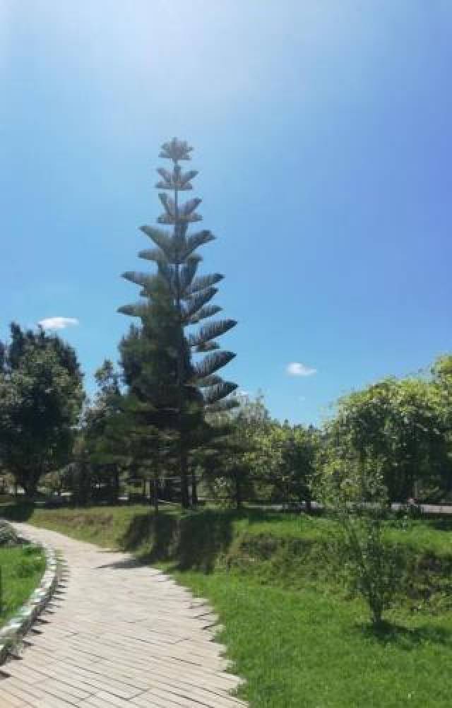 Terraço