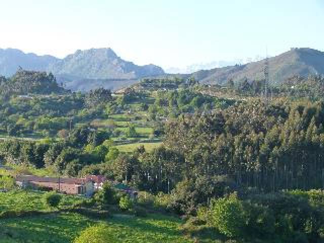 Vista General