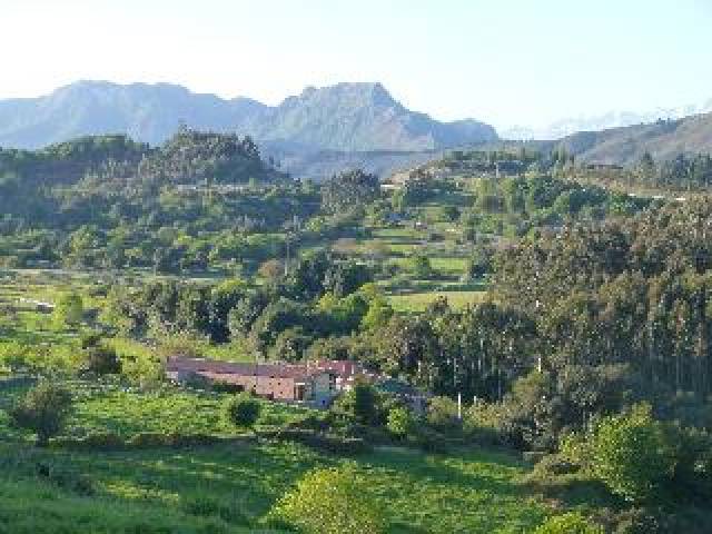 Desportos y Entretenimento