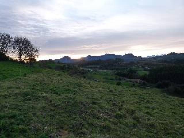 Desportos y Entretenimento
