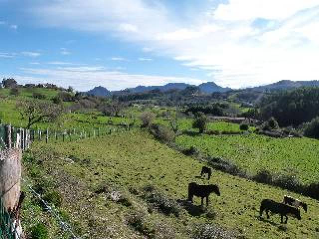 Desportos y Entretenimento